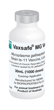  VAXSAFE® MG VACCINE 