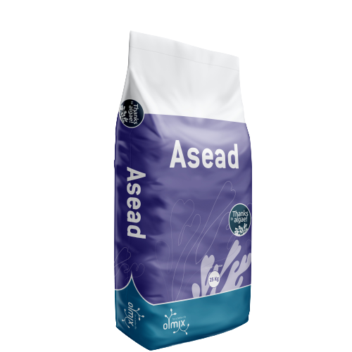 ASEAD AQUA