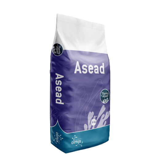  ASEAD AQUA 