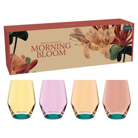 Bộ 4 ly thủy tinh Morning Bloom - 3C2421604G0001