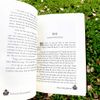 Sách Tiểu Thuyết Trinh Thám Nhà Nathaniel Hawthorne) - Phúc Minh Books
