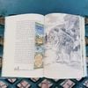 Sách Văn Học Kinh Điển Hai mươi tư con mắt (Bìa cứng) - Phúc Minh Books