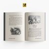 Sách Văn Học Kinh Điển - Về Với Gia Đình - Hector Malot (Tặng kèm Booklet bản gốc tiếng Pháp)