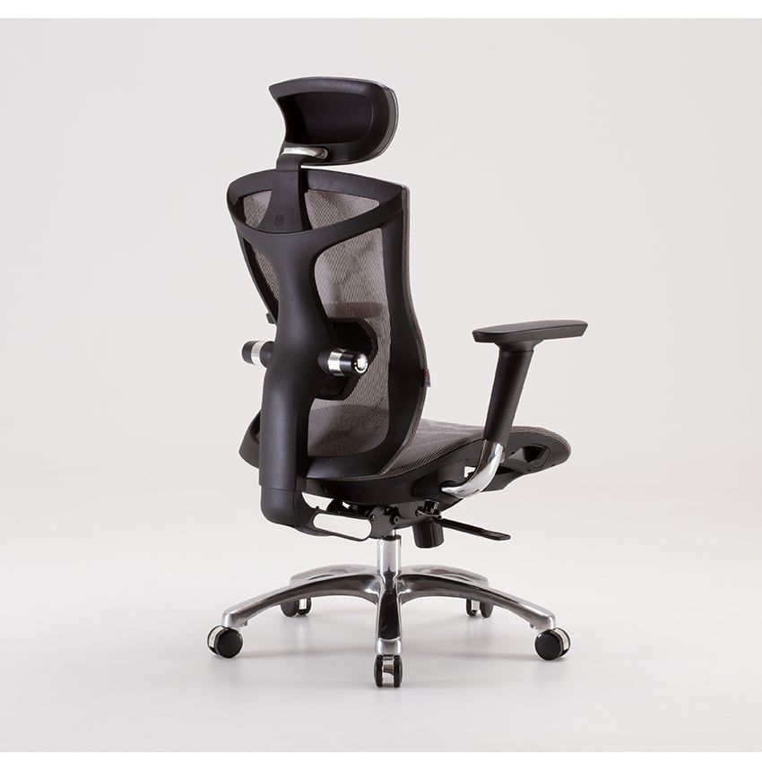  Ghế Công Thái Học Sihoo V1 