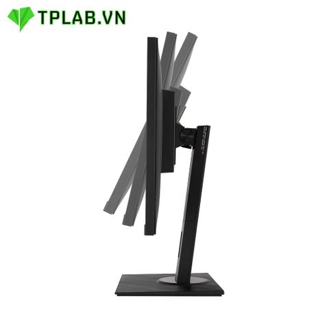  Màn hình ASUS VA24DQLB 24'' IPS FHD 75Hz 