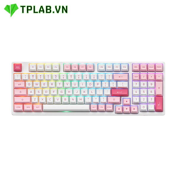  Bàn phím AKKO 3098B Multi-modes Prunus Lannesiana ( Akko CS Switch ) 