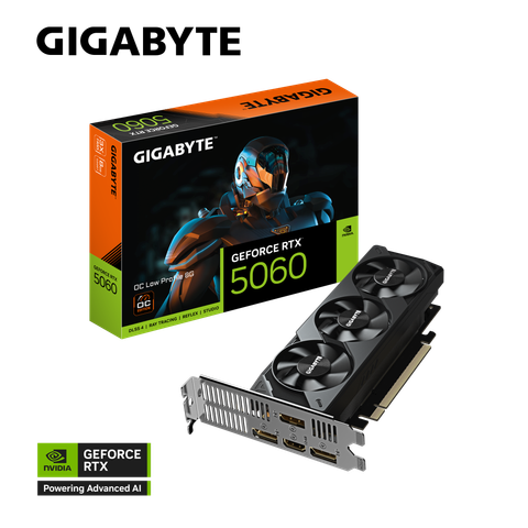  GIGABYTE GeForce RTX 5060 LP 8G OC 