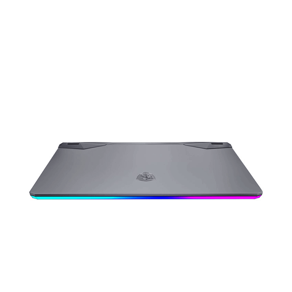  Laptop MSI Gaming GE76 Raider ( 12UHS-  480VN ) 