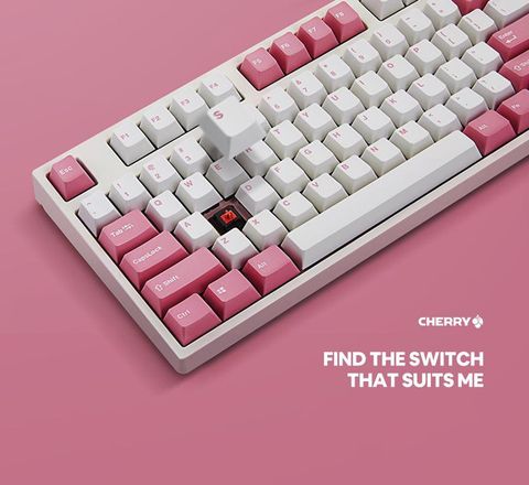  Bàn phím LEOPOLD FC660MPD Pink OE - OEM Profile 