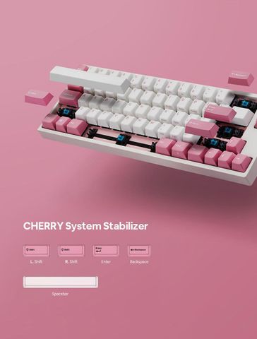  Bàn phím LEOPOLD FC660MPD Pink OE - OEM Profile 