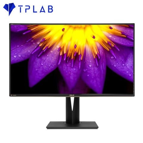  Màn hình ASUS ProArt Display PA329Q 32