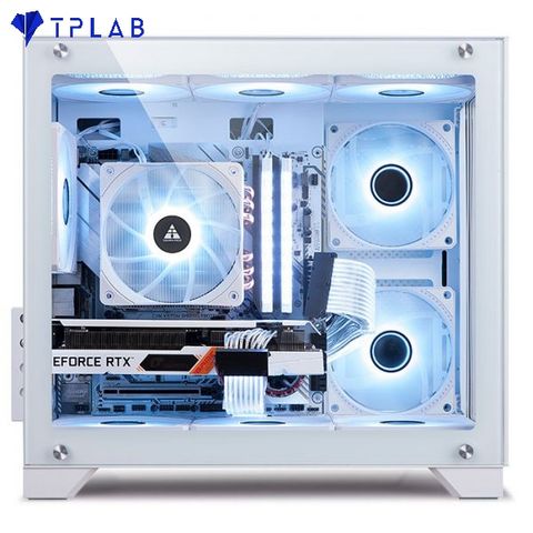  Case Golden Field Window 21+ (White) 