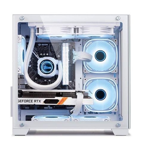  Case Golden Field Window 21+ Mini WHITE 