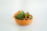  Chậu Trồng Cây Đất Nung Ổ Rơm  - TC113 