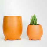  Chậu Trồng Cây Ba Chân - TC116 