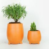  Chậu Trồng Cây Ba Chân - TC116 