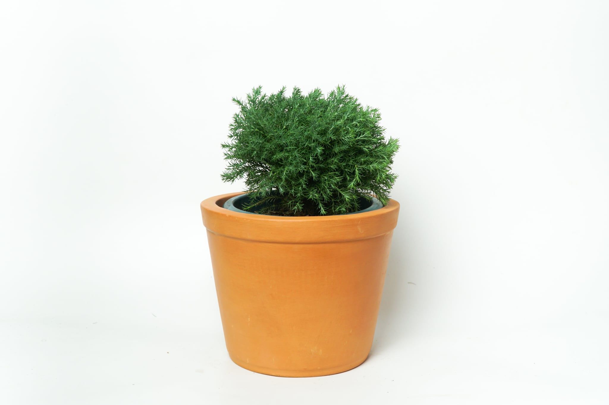  Bộ 4 Chậu Trồng Cây - TC33 