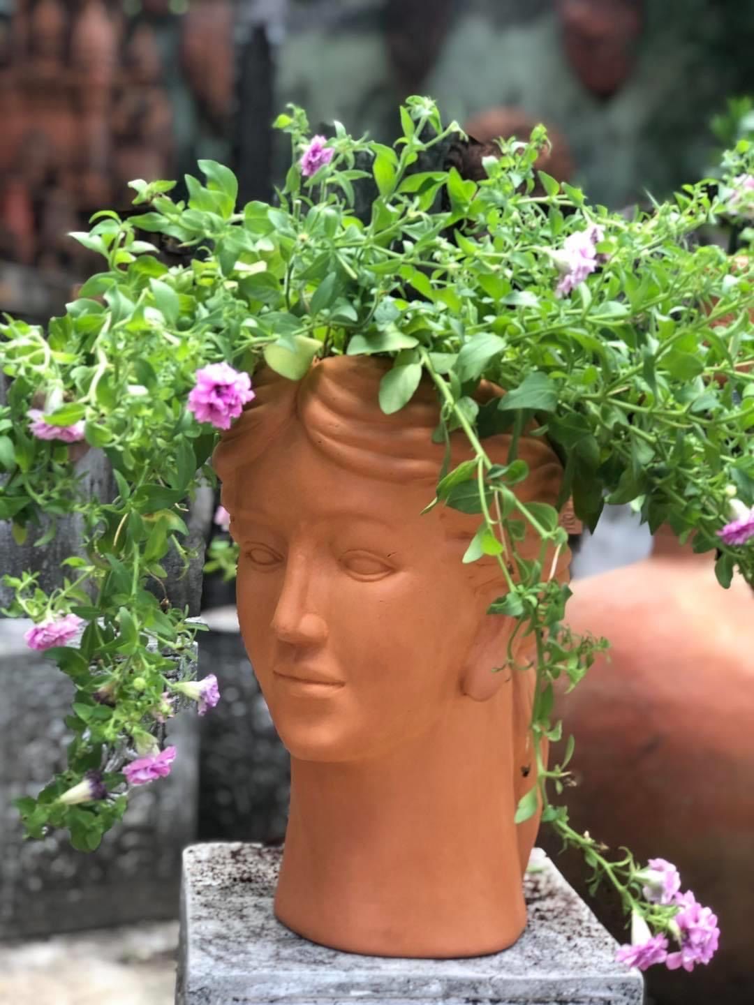  Chậu Trồng Cây - TC50 