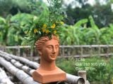  Chậu Trồng Cây Đất Nung Cô Gái - TC88 