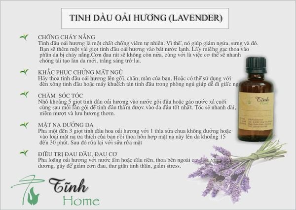  Tinh Dầu Oải Hương Ấn Độ - Lavender Essential Oil -  TD14 