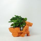  Chậu Trồng Cây - TC103 