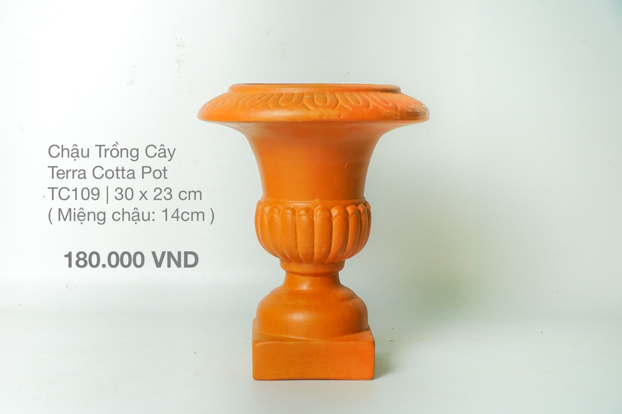  Cup Trồng Cây Đất Nung / Terra Cotta Pot  - TC109 
