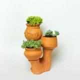  Set 3 Chậu Trồng Cây kèm Đế - TC115 