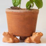  Đế Kê Chậu Trồng Cây Con Cóc - TC125 