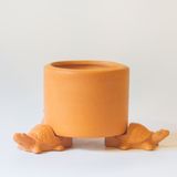  Đế Kê Chậu Trồng Cây Con Rùa - TC127 