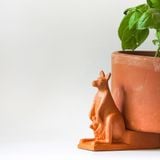  Đế Kê Chậu Trồng Cây Con Kanguru - TC130 