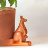  Đế Kê Chậu Trồng Cây Con Kanguru - TC130 