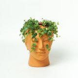  Chậu Trồng Cây Cô Gái - TC19 