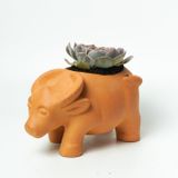  Chậu Trồng Cây - TC23 