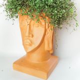  Chậu Trồng Cây - TC52 