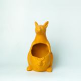  Chậu Trồng Cây Kangaro - TC53 