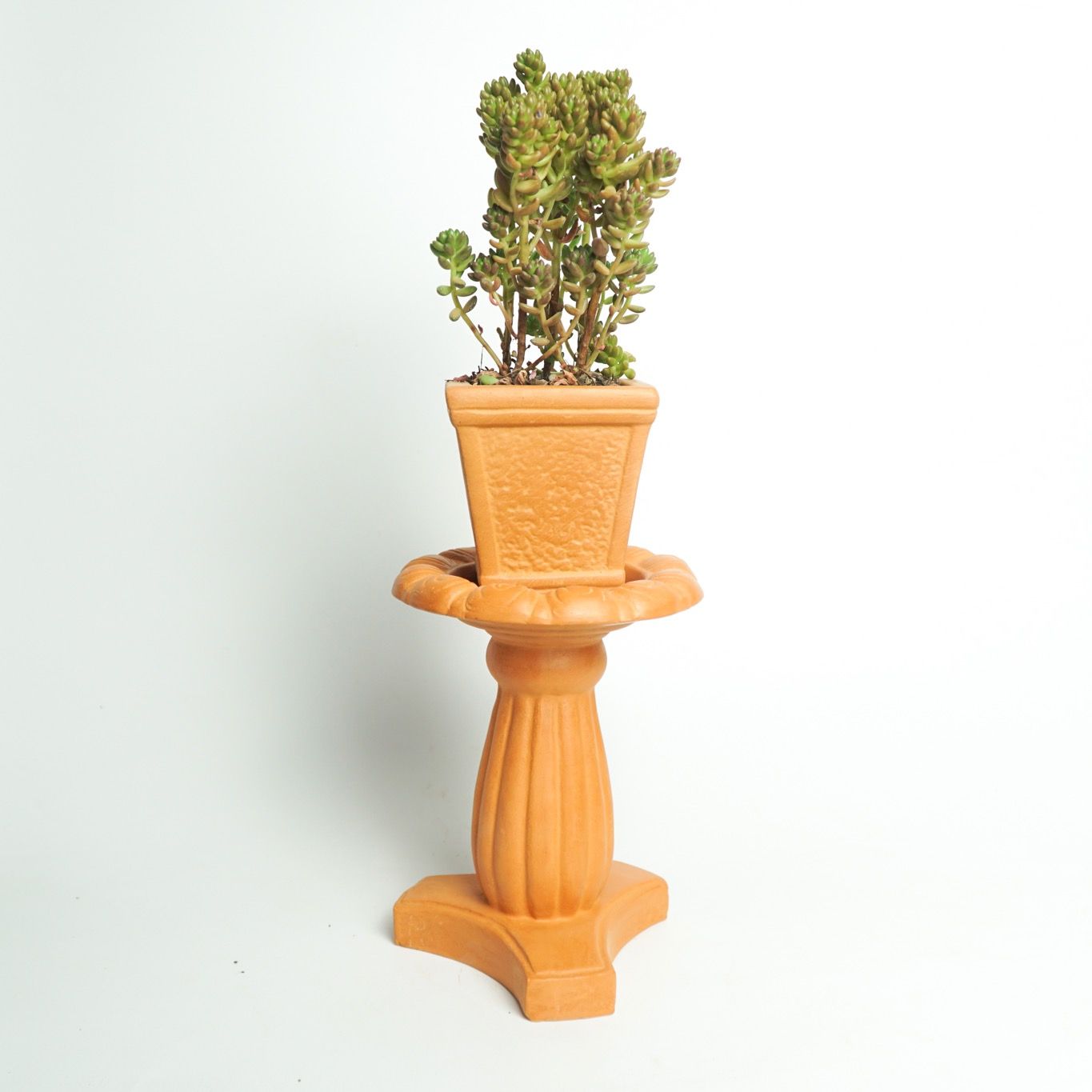  Đế Bỏ Chậu Trồng Cây - TC60 