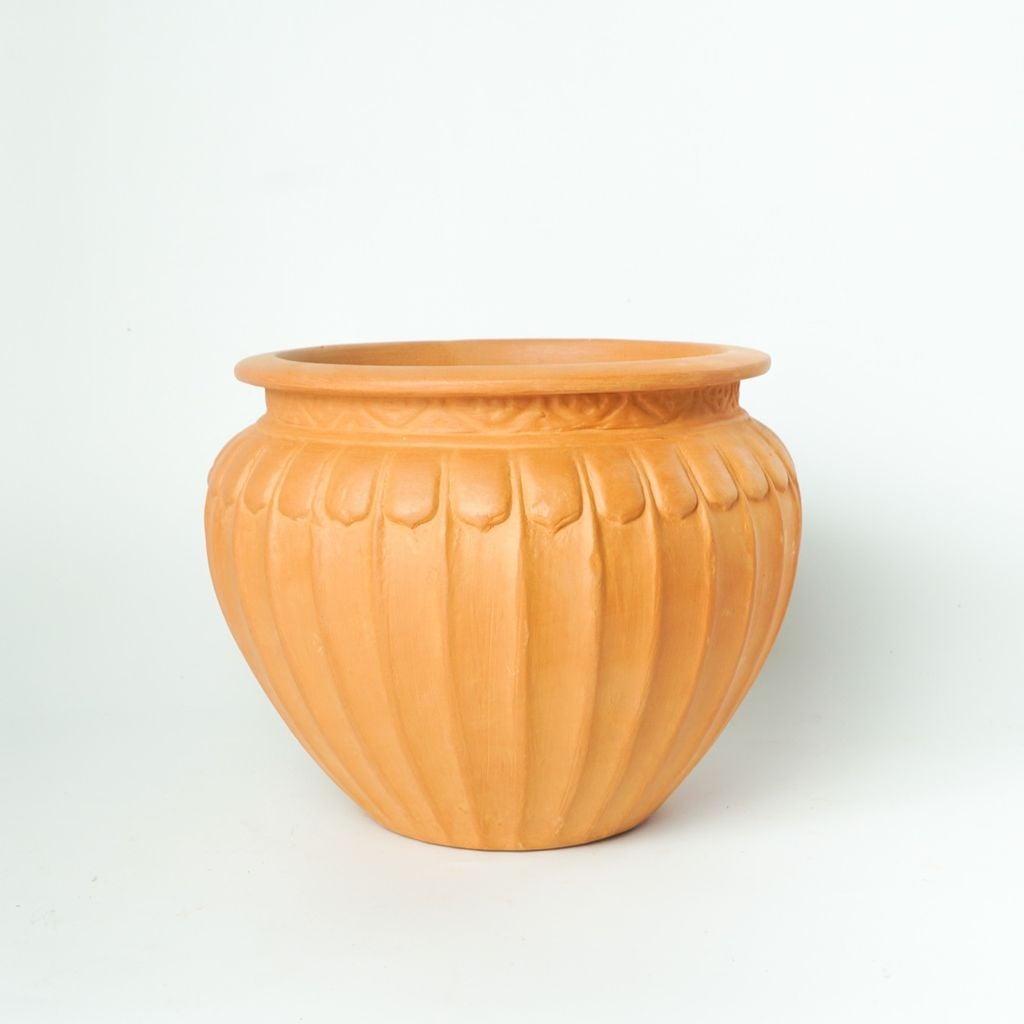  Chậu Trồng Cây  - TC64 