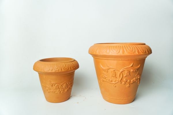 Chậu Trồng Cây - Planter/ Pot