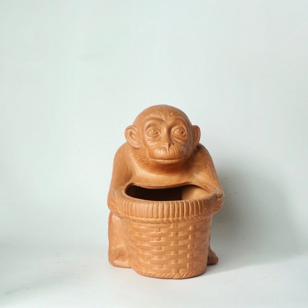  Chậu Trồng Cây - TC74 