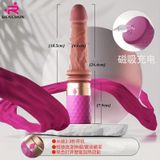  DV Giả Có Thụt Rung Nhiệt Độ Đầy Đủ Tính Năng CC 