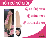 DV Giả Dildo ( Có Nhiệt Độ ) 