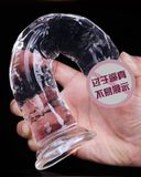  DV Giả Silicone Trong Suốt, Nhiều Size, Không Rung, Dán Tường 