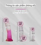  DV Hít Tường, Hình Dáng Cong, Có Bi, Trong Suốt 02 Màu 