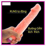  I Sale 2026 I DV Giả 02 Pin, Nhiều Tần Số Rung, Giống Thật 