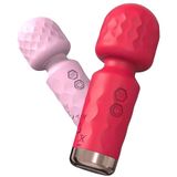  Chày Rung Quiet - Size Mini 