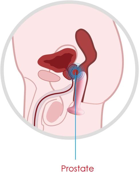 dụng cụ tình dục hậu môn svakom paddy