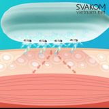 SVAKOM Viviana trứng rung kích thích bằng xung điện EMS 