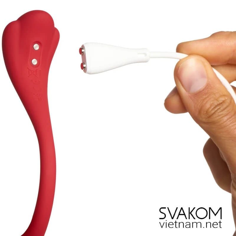  SVAKOM Phoenix Neo 2 trứng rung điểu khiển từ xa và đồng bộ video người lớn 