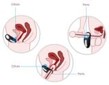  SVAKOM Wendy vòng rung đeo dương vật kích thích khoái cảm cặp đôi 