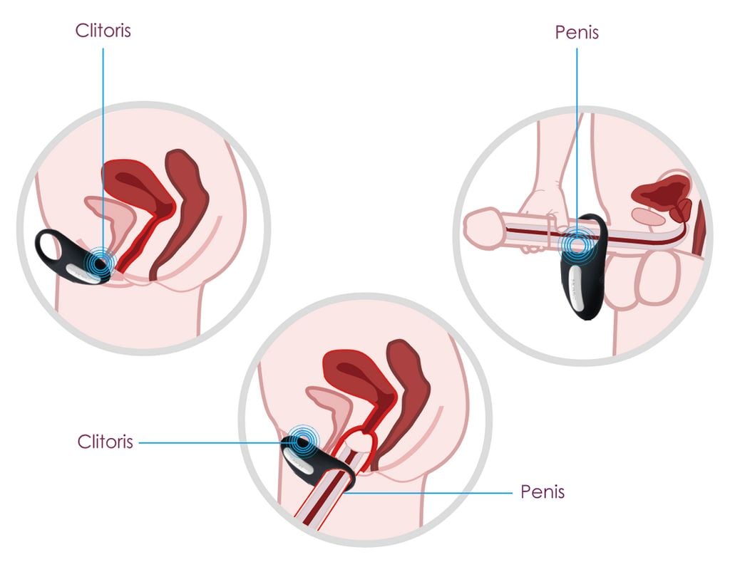  SVAKOM Wendy vòng rung đeo dương vật kích thích khoái cảm cặp đôi 